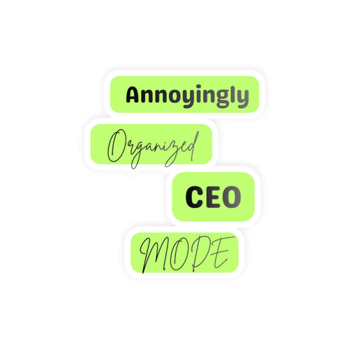 "Annoyingly Organized CEO Mode" Neon Laptop Decal